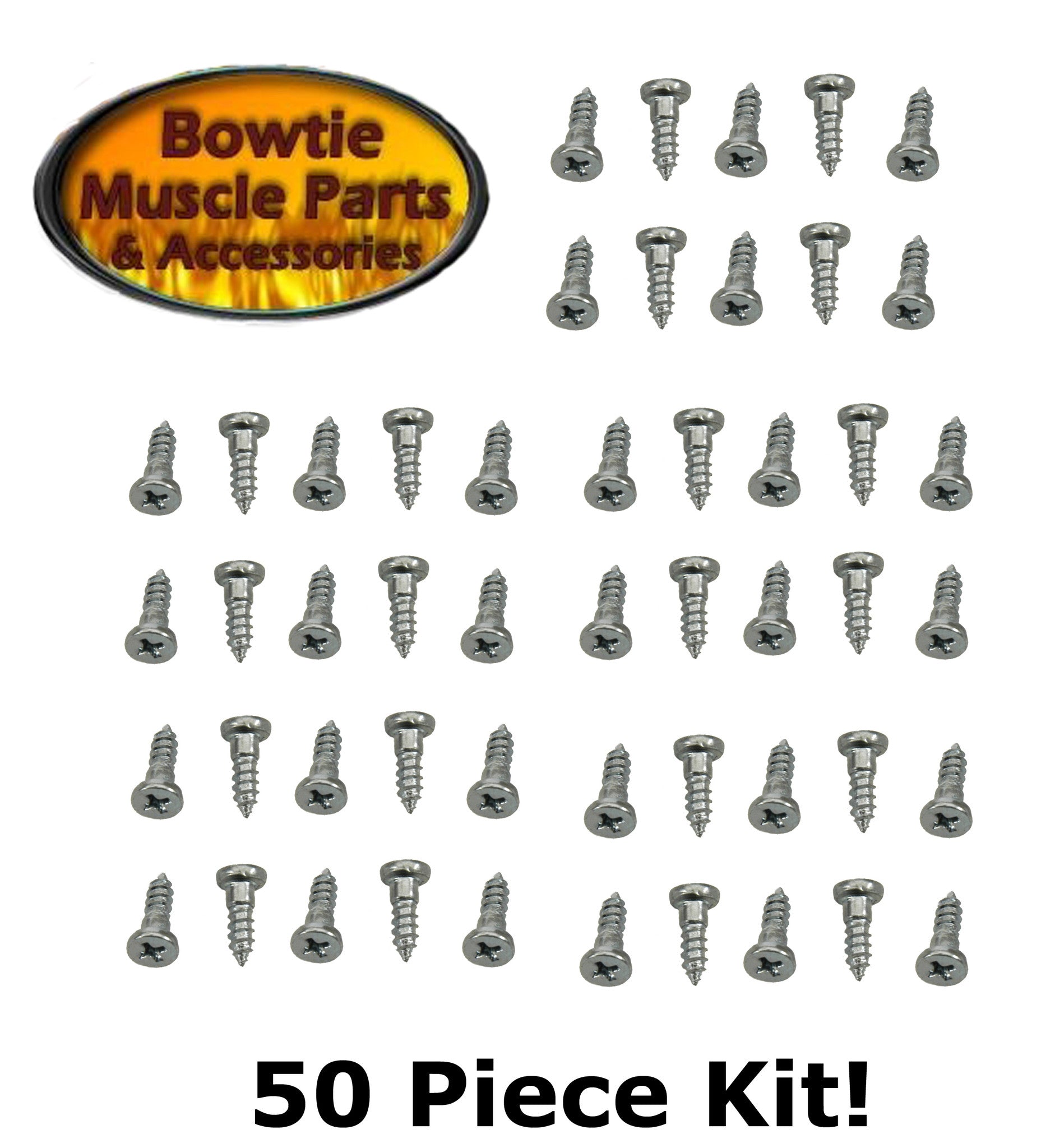 WINDOW MOLDING SCREW IN STUD SET 50 PC KIT