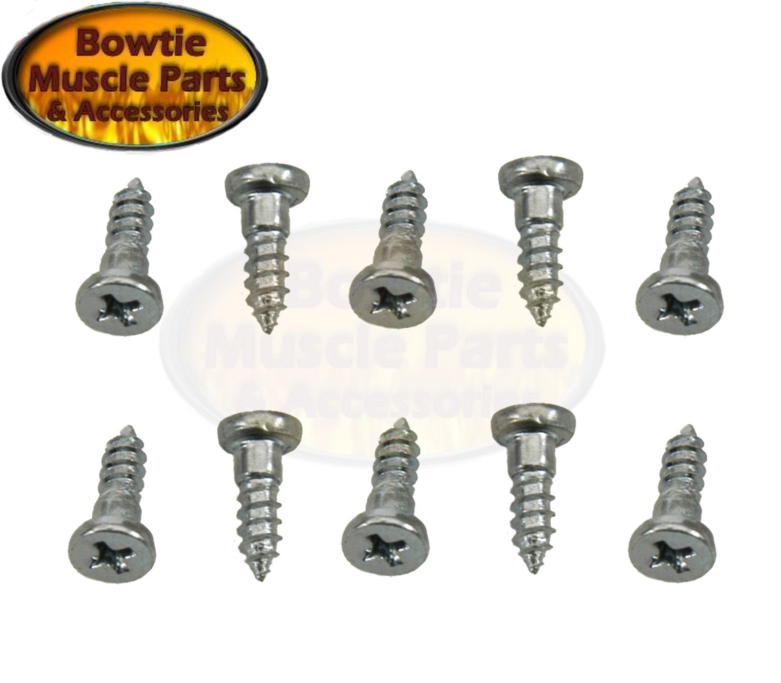WINDOW MOLDING SCREW IN STUD SET 10 PC KIT